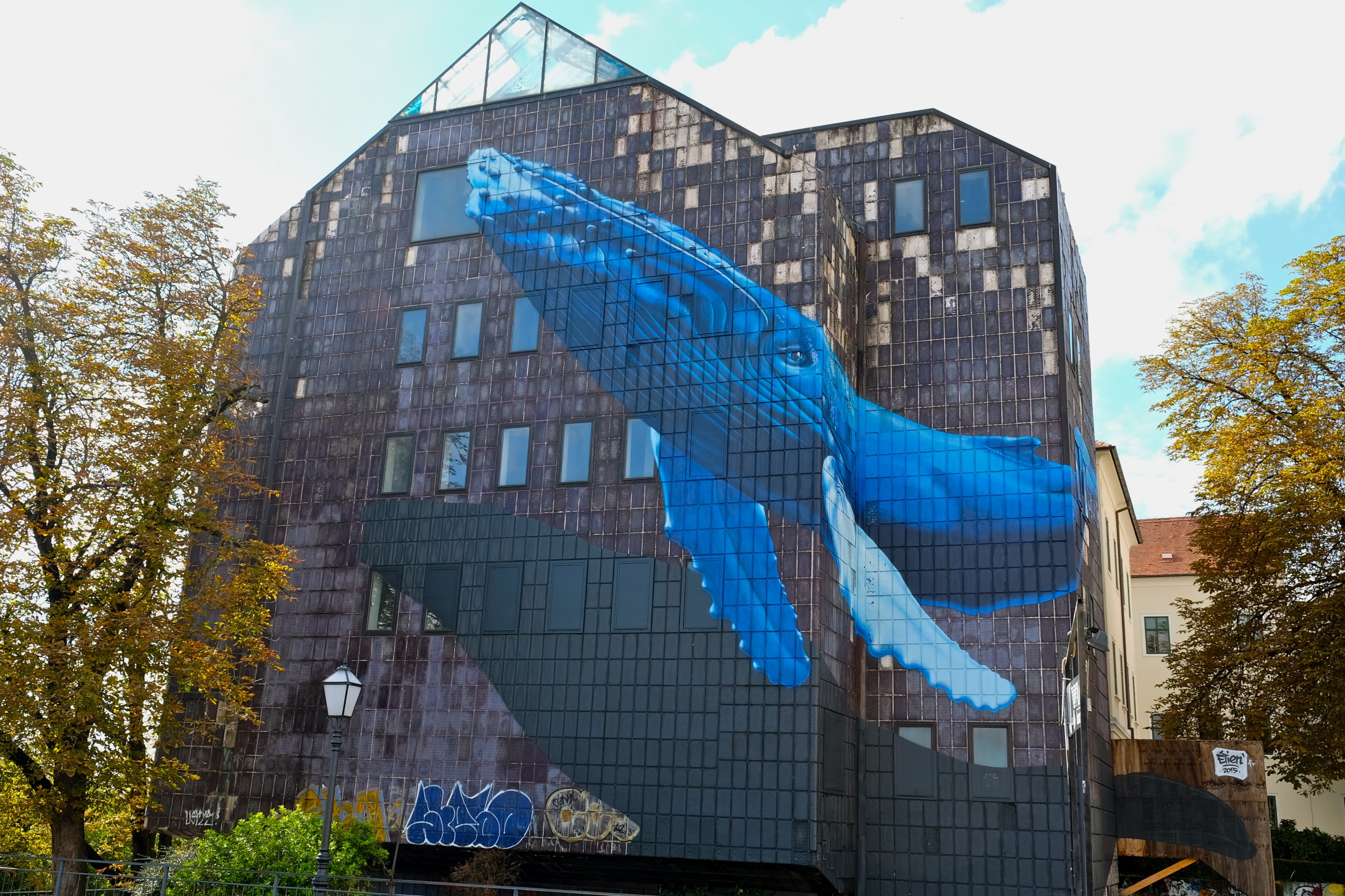DSCF0316.jpg